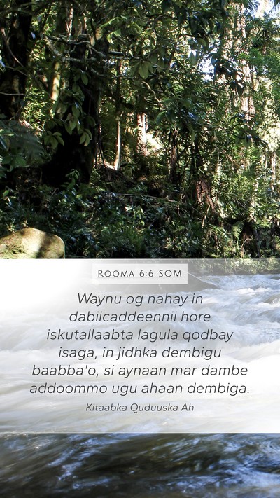 Rooma 6:6 SOM Bible Verse Image