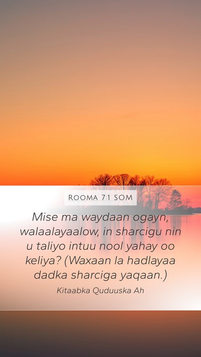 Rooma 7:1 SOM Bible Verse Image