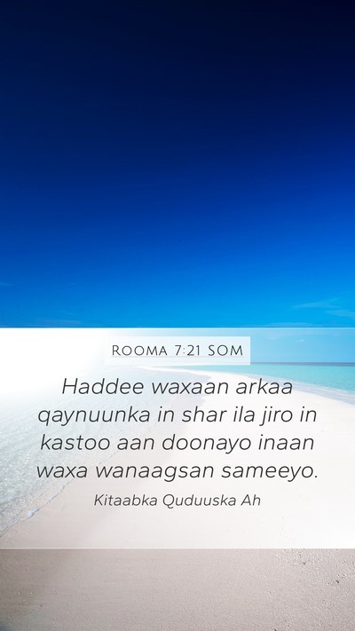 Rooma 7:21 SOM Bible Verse Image