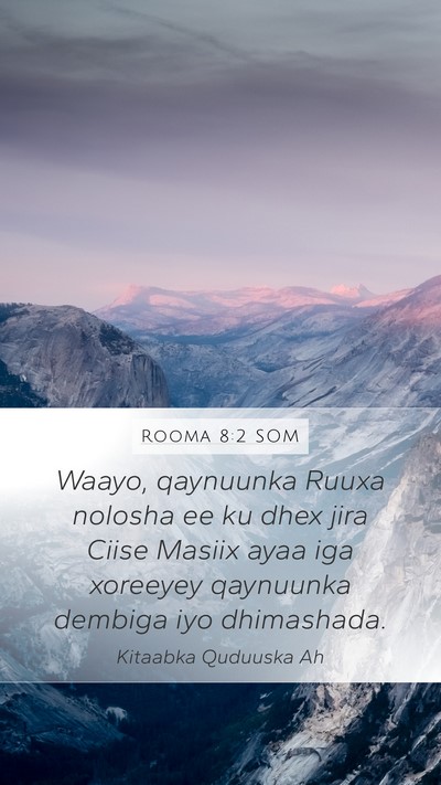 Rooma 8:2 SOM Bible Verse Image
