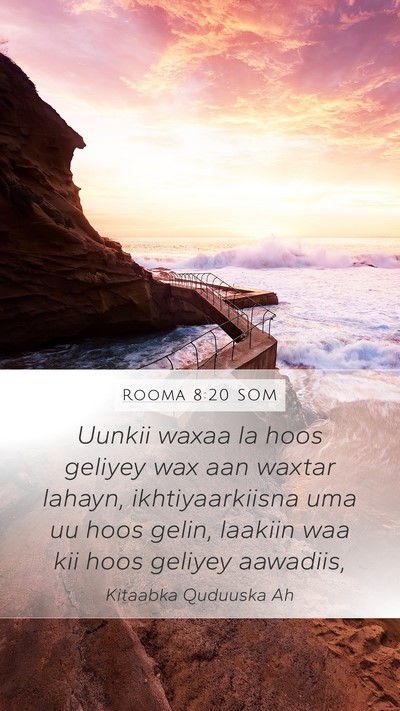 Rooma 8:20 SOM Bible Verse Image