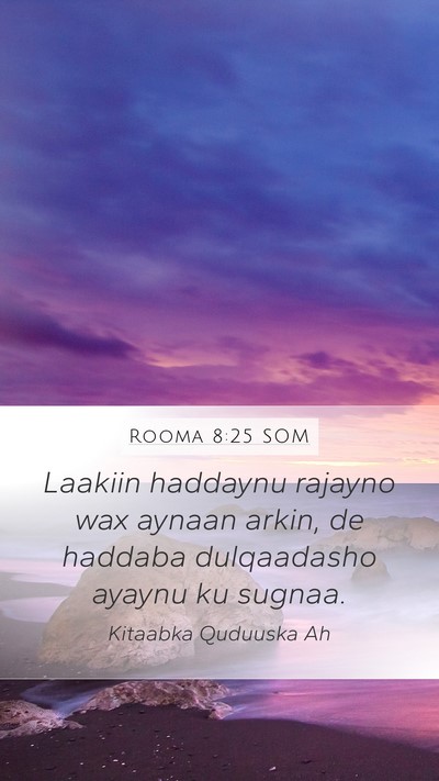 Rooma 8:25 SOM Bible Verse Image