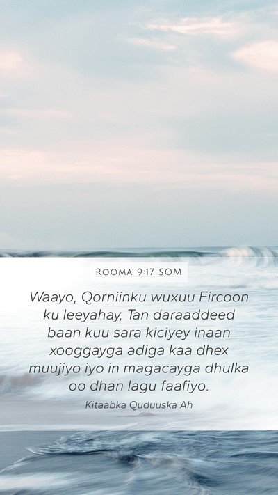 Rooma 9:17 SOM Bible Verse Image