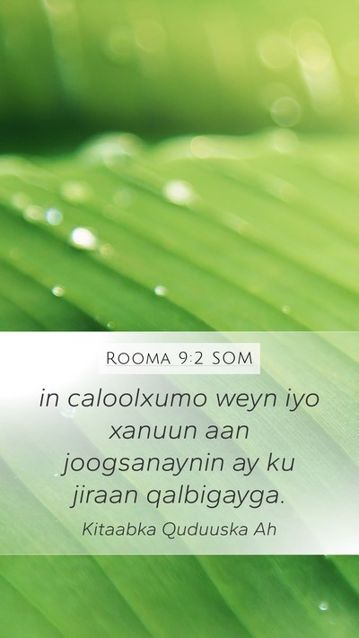 Rooma 9:2 SOM Bible Verse Image