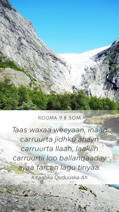 Rooma 9:8 SOM Bible Verse Image