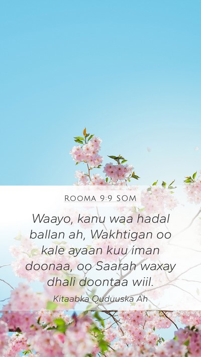 Rooma 9:9 SOM Bible Verse Image