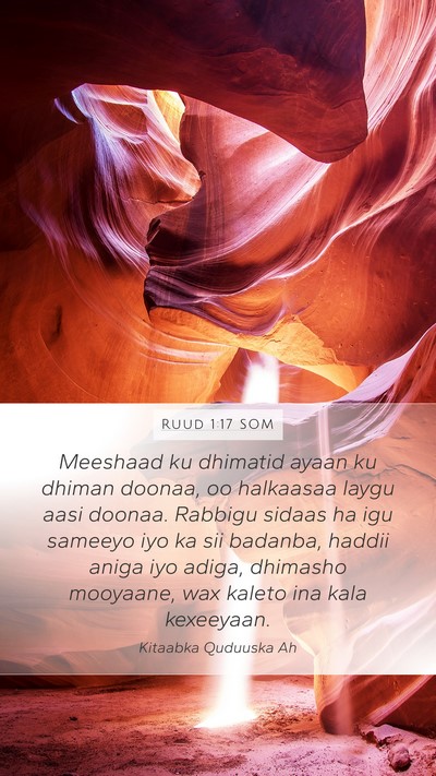 Ruud 1:17 SOM Mobile Phone Wallpaper - Meeshaad ku dhimatid ayaan ku dhiman doonaa, oo - Mobile Bible Verse Wallpaper