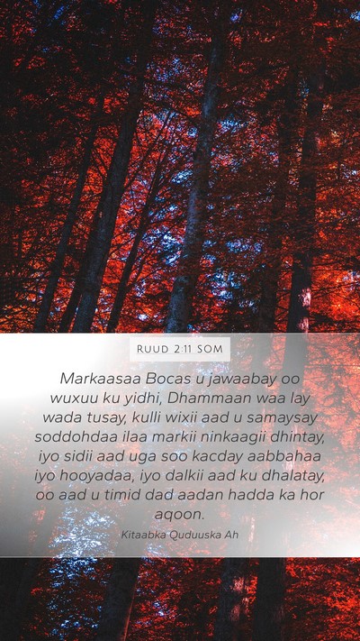 Ruud 2:11 SOM Bible Verse Image