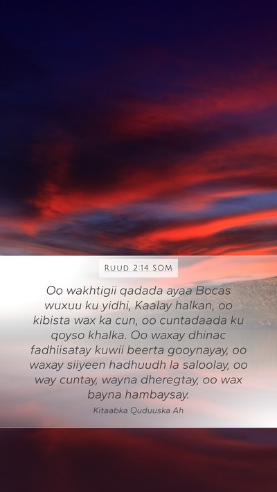 Ruud 2:14 SOM Bible Verse Image
