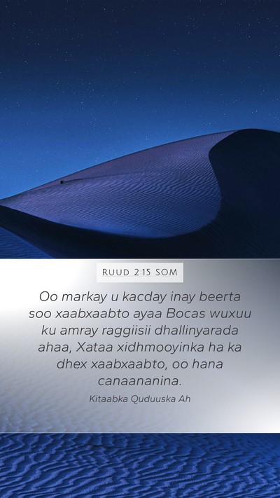 Ruud 2:15 SOM Mobile Phone Wallpaper - Oo markay u kacday inay beerta soo xaabxaabto - Mobile Bible Verse Wallpaper