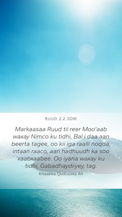 Ruud 2:2 SOM Bible Verse Image