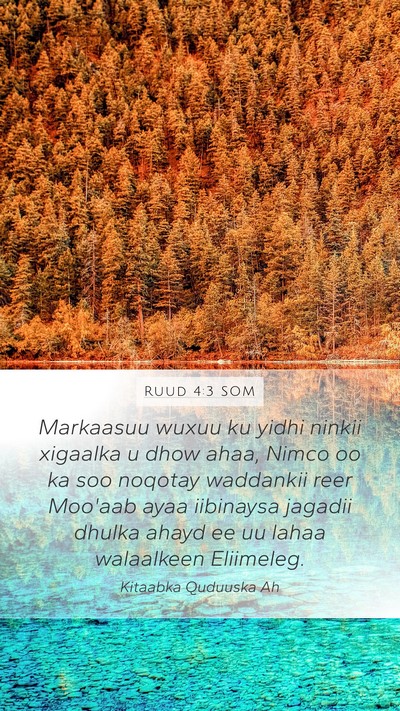 Ruud 4:3 SOM Bible Verse Image