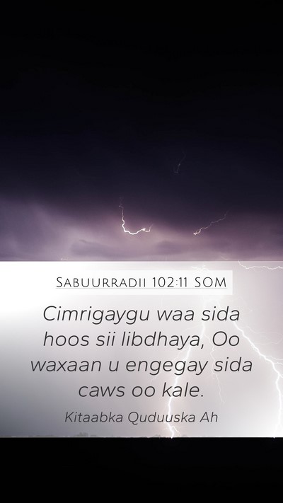 Sabuurradii 102:11 SOM Bible Verse Image