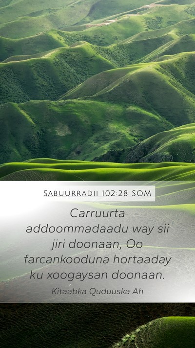 Sabuurradii 102:28 SOM Bible Verse Image