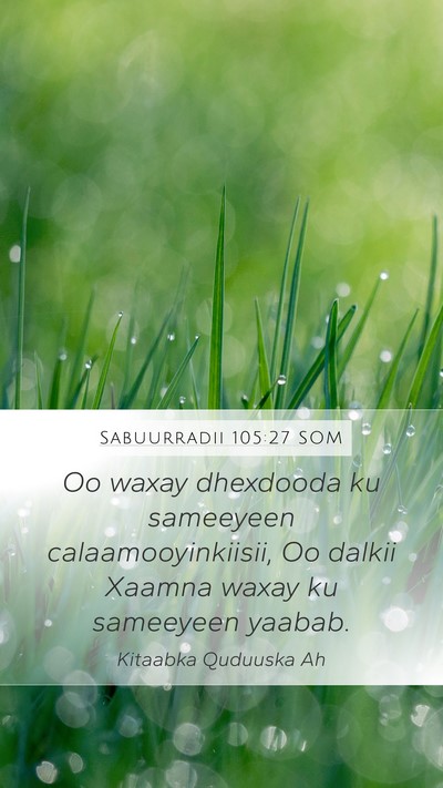 Sabuurradii 105:27 SOM Bible Verse Image