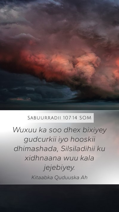 Sabuurradii 107:14 SOM Bible Verse Image