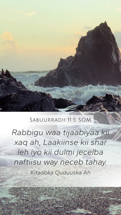 Sabuurradii 11:5 SOM Bible Verse Image