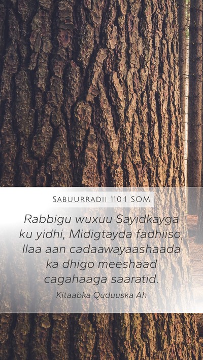 Sabuurradii 110:1 SOM Mobile Phone Wallpaper - Rabbigu wuxuu Sayidkayga ku yidhi, Midigtayda - Mobile Bible Verse Wallpaper