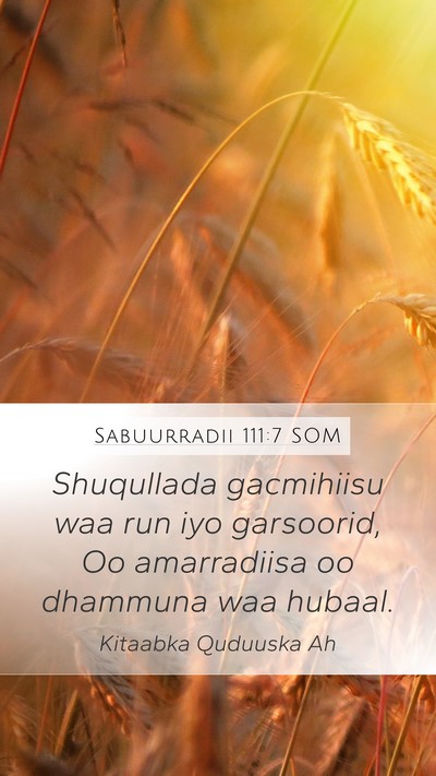 Sabuurradii 111:7 SOM Bible Verse Image