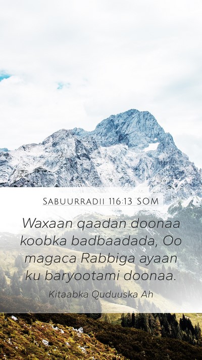 Sabuurradii 116:13 SOM Bible Verse Image