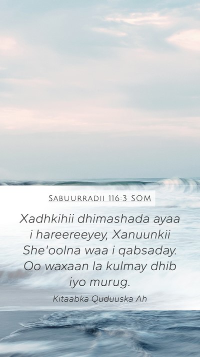 Sabuurradii 116:3 SOM Bible Verse Image