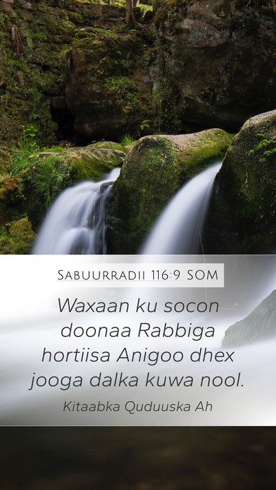 Sabuurradii 116:9 SOM Bible Verse Image