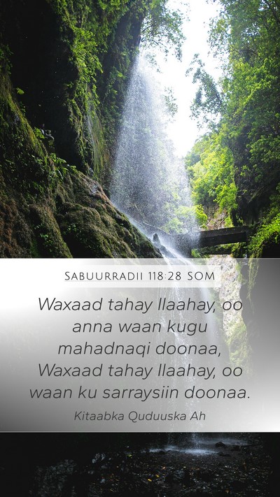 Sabuurradii 118:28 SOM Bible Verse Image