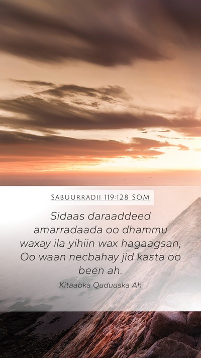 Sabuurradii 119:128 SOM Bible Verse Image