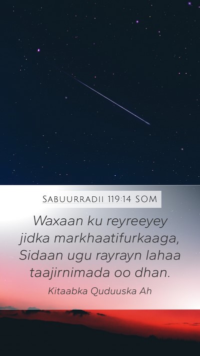 Sabuurradii 119:14 SOM Bible Verse Image