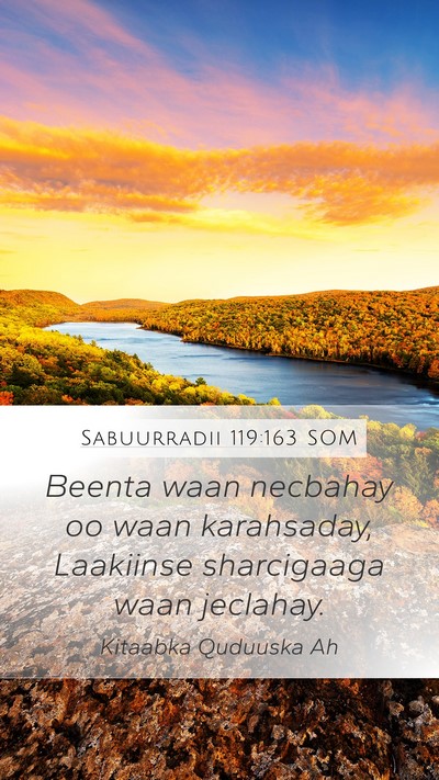 Sabuurradii 119:163 SOM Bible Verse Image