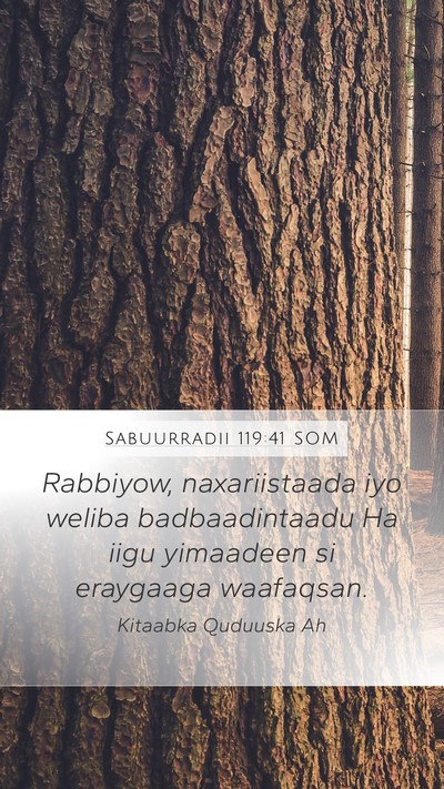 Sabuurradii 119:41 SOM Bible Verse Image