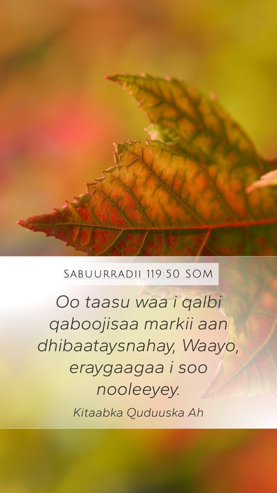 Sabuurradii 119:50 SOM Mobile Phone Wallpaper - Oo taasu waa i qalbi qaboojisaa markii aan - Mobile Bible Verse Wallpaper