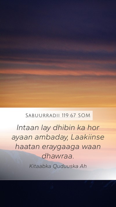 Sabuurradii 119:67 SOM Bible Verse Image