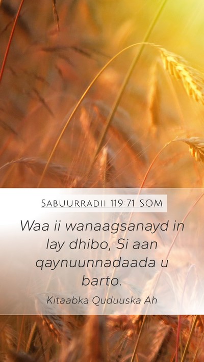 Sabuurradii 119:71 SOM Bible Verse Image