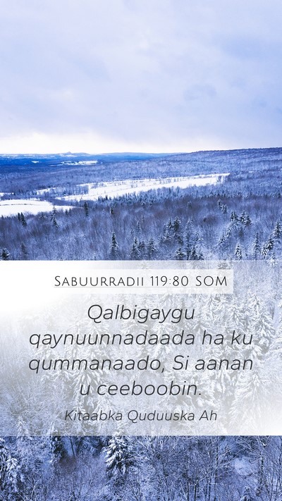 Sabuurradii 119:80 SOM Bible Verse Image