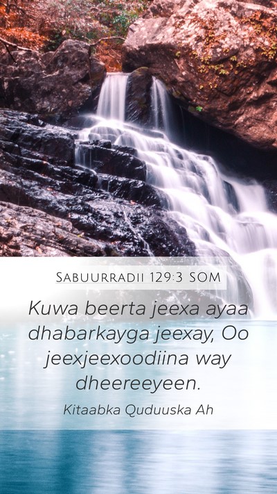 Sabuurradii 129:3 SOM Bible Verse Image