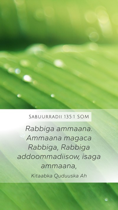 Sabuurradii 135:1 SOM Mobile Phone Wallpaper - Rabbiga ammaana. Ammaana magaca Rabbiga, Rabbiga - Mobile Bible Verse Wallpaper