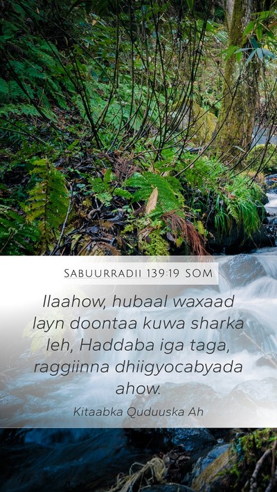Sabuurradii 139:19 SOM Bible Verse Image
