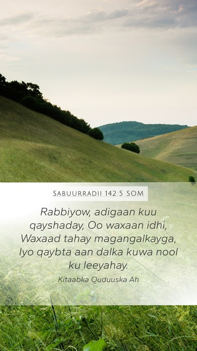 Sabuurradii 142:5 SOM Bible Verse Image