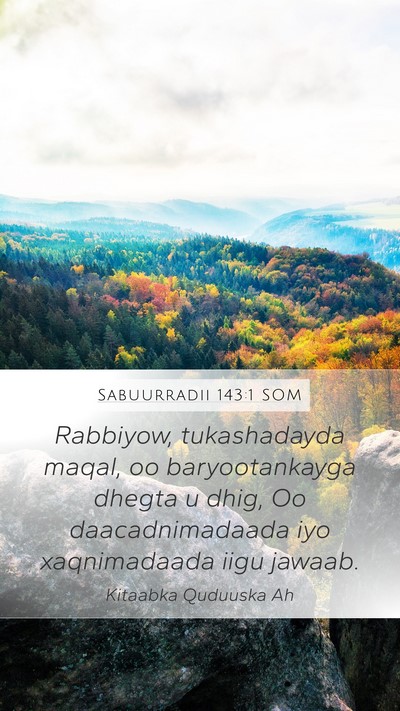 Sabuurradii 143:1 SOM Bible Verse Image