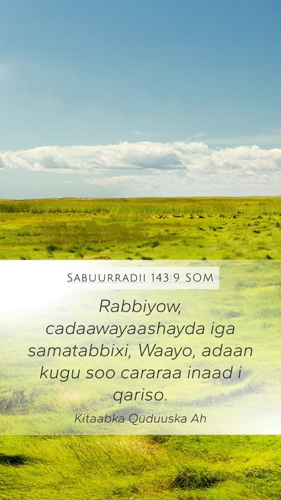 Sabuurradii 143:9 SOM Bible Verse Image