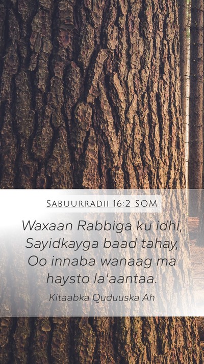 Sabuurradii 16:2 SOM Bible Verse Image