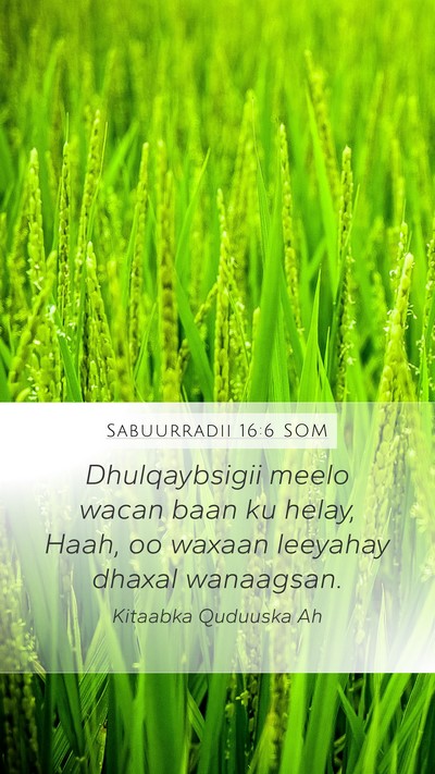 Sabuurradii 16:6 SOM Mobile Phone Wallpaper - Dhulqaybsigii meelo wacan baan ku helay, Haah, oo - Mobile Bible Verse Wallpaper
