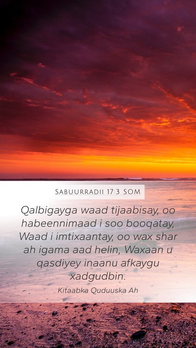 Sabuurradii 17:3 SOM Bible Verse Image