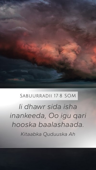 Sabuurradii 17:8 SOM Bible Verse Image