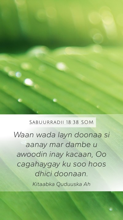 Sabuurradii 18:38 SOM Bible Verse Image