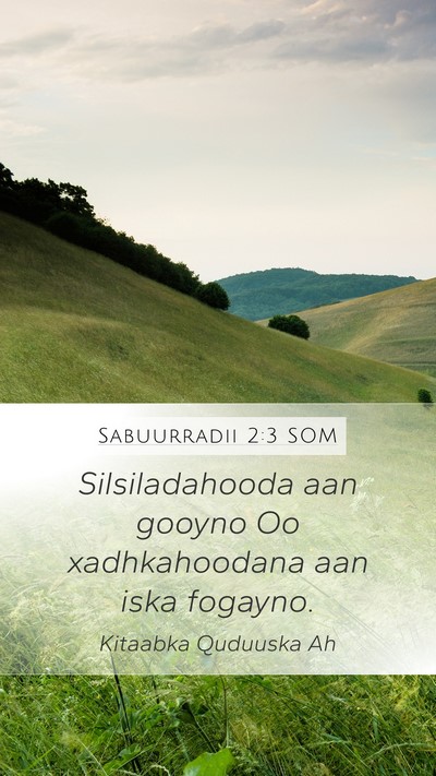 Sabuurradii 2:3 SOM Mobile Phone Wallpaper - Silsiladahooda aan gooyno Oo xadhkahoodana aan - Mobile Bible Verse Wallpaper