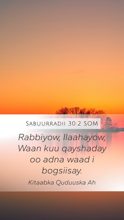 Sabuurradii 30:2 SOM Bible Verse Image