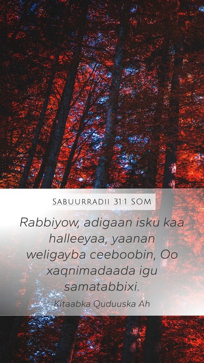 Sabuurradii 31:1 SOM Bible Verse Image
