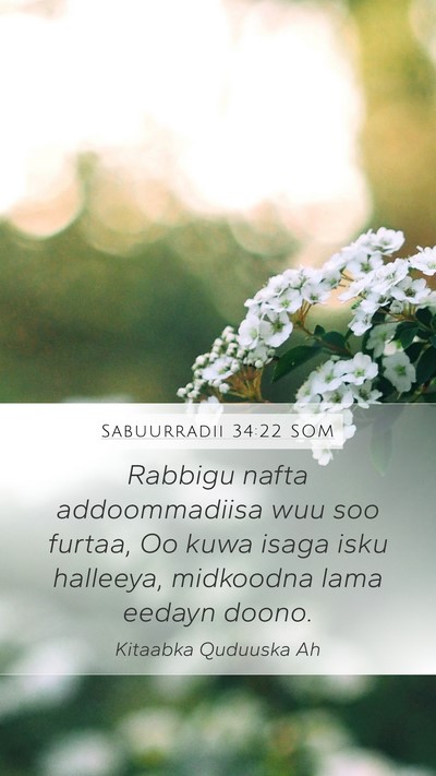 Sabuurradii 34:22 SOM Mobile Phone Wallpaper - Rabbigu nafta addoommadiisa wuu soo furtaa, Oo - Mobile Bible Verse Wallpaper